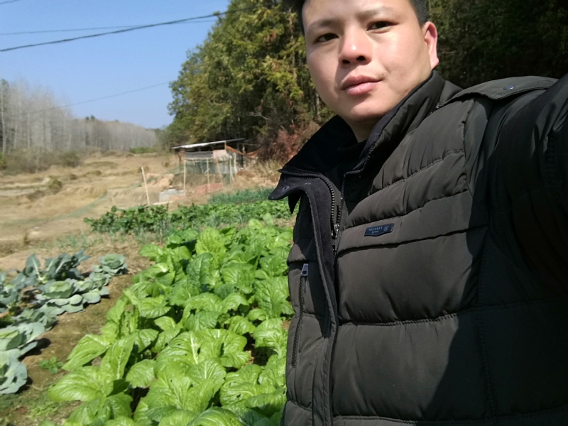 倔强的驴的第一张照片--江苏王婆说媒