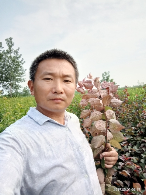 孩子爸的第一张照片--江苏王婆说媒
